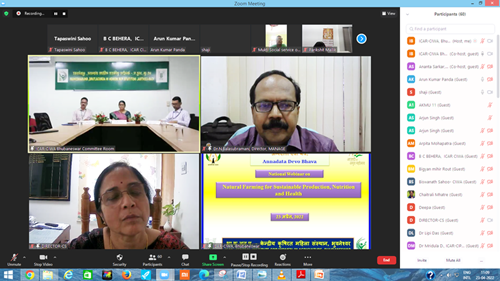 Image of National Webinar
